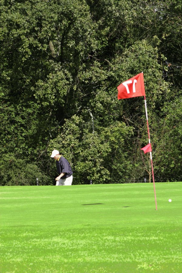 cg043flag17.jpg 208.8K